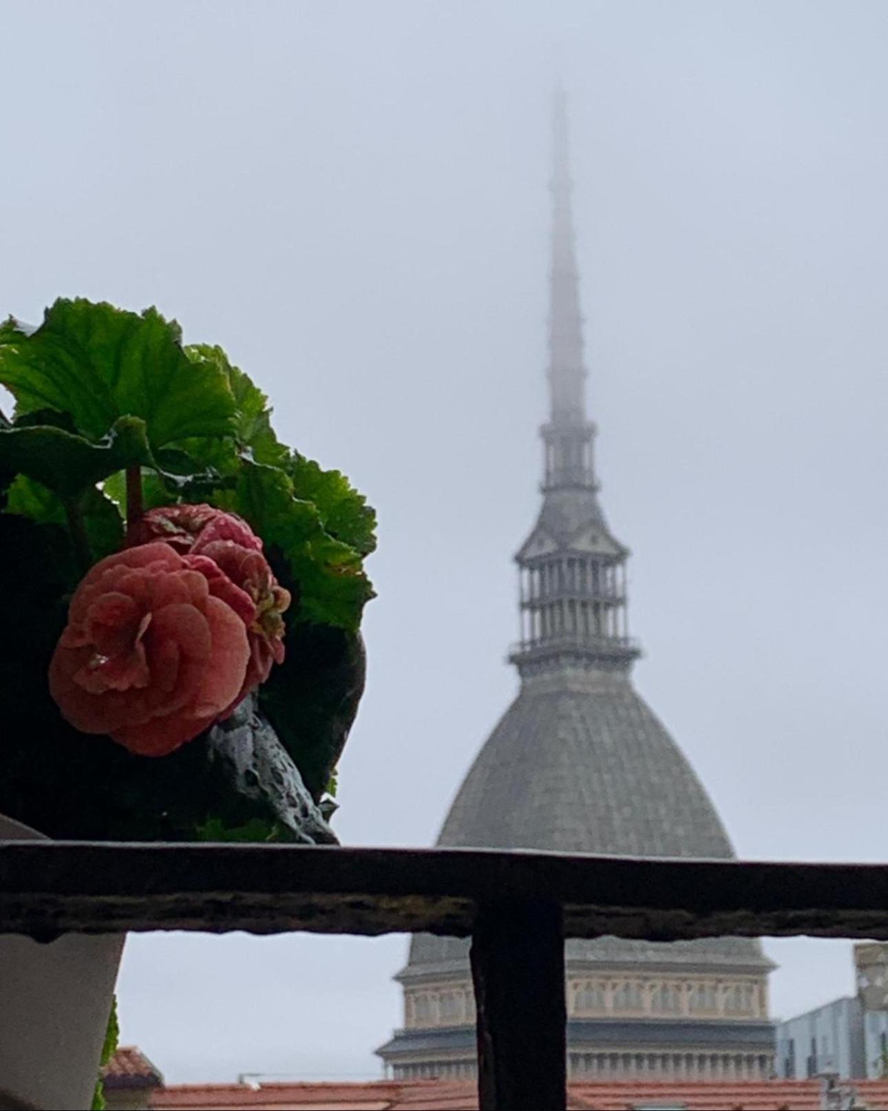 Appartamento Le Finestre Sulla Mole Torino Esterno foto